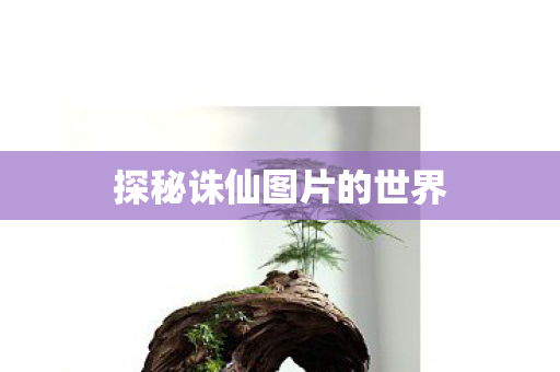 探秘诛仙图片的世界 探秘诛仙图片的世界