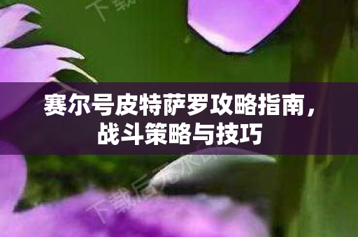 赛尔号皮特萨罗攻略指南,战斗策略与技巧 赛尔号皮特萨罗攻略指南,战斗策略与技巧