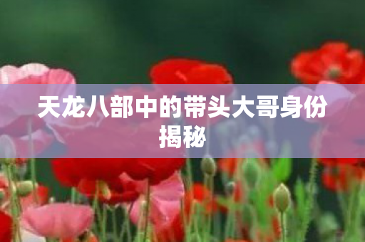 天龙八部中的带头大哥身份揭秘