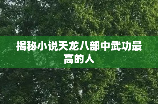揭秘小说天龙八部中武功最高的人 揭秘小说天龙八部中武功最高的人