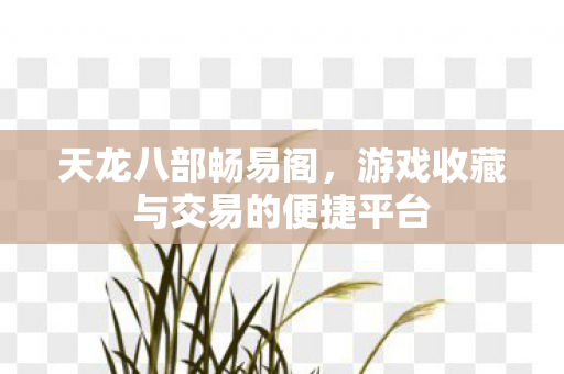 天龙八部畅易阁,游戏收藏与交易的便捷平台 天龙八部畅易阁,游戏收藏与交易的便捷平台
