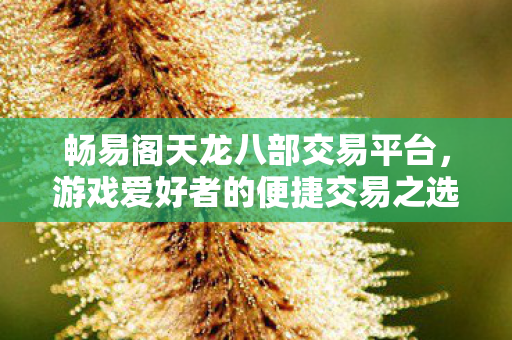 畅易阁天龙八部交易平台,游戏爱好者的便捷交易之选 畅易阁天龙八部交易平台,游戏爱好者的便捷交易之选