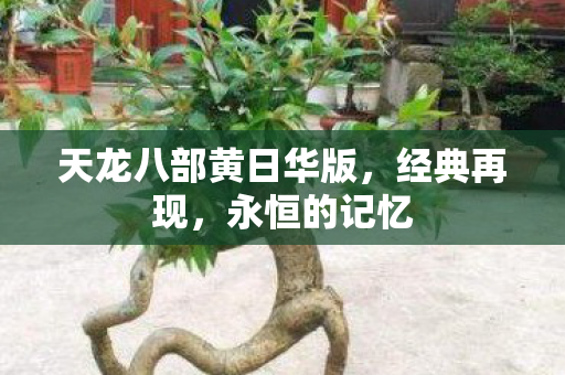 天龙八部黄日华版,经典再现,永恒的记忆 天龙八部黄日华版,经典再现,永恒的记忆