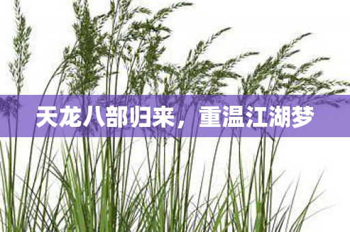 天龙八部归来,重温江湖梦 天龙八部归来,重温江湖梦