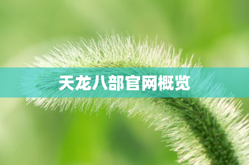 天龙八部官网概览 天龙八部官网概览