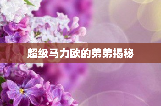 超级马力欧的弟弟揭秘 超级马力欧的弟弟揭秘