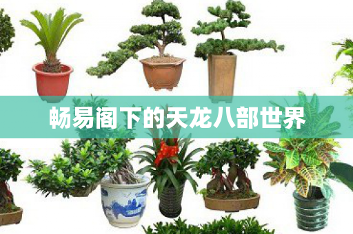 畅易阁下的天龙八部世界