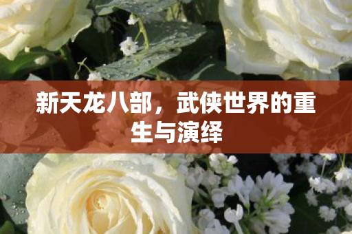 新天龙八部,武侠世界的重生与演绎 新天龙八部,武侠世界的重生与演绎