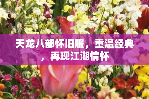 天龙八部怀旧服,重温经典,再现江湖情怀 天龙八部怀旧服,重温经典,再现江湖情怀