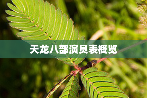 天龙八部演员表概览 天龙八部演员表概览