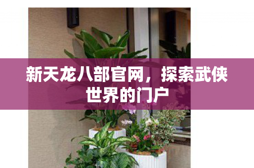 新天龙八部官网,探索武侠世界的门户 新天龙八部官网,探索武侠世界的门户