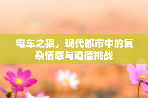 电车之狼,现代都市中的复杂情感与道德挑战 电车之狼,现代都市中的复杂情感与道德挑战