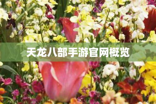 天龙八部手游官网概览