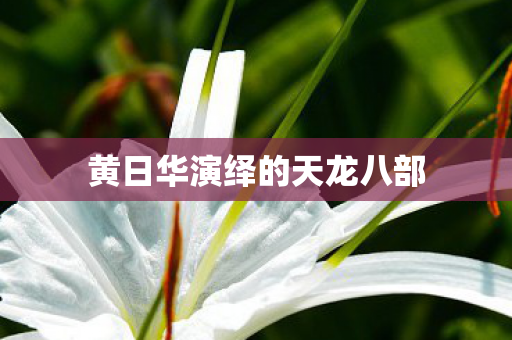 黄日华演绎的天龙八部 黄日华演绎的天龙八部