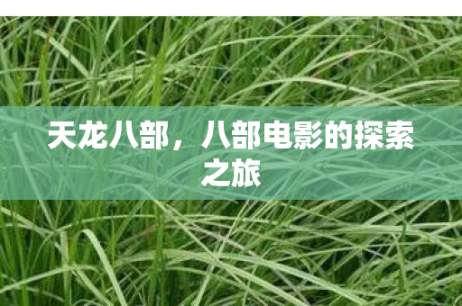 天龙八部,八部电影的探索之旅 天龙八部,八部电影的探索之旅