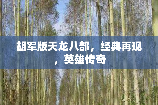 胡军版天龙八部,经典再现,英雄传奇 胡军版天龙八部,经典再现,英雄传奇