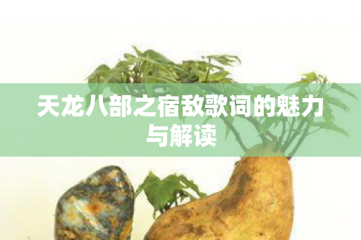 天龙八部之宿敌歌词的魅力与解读