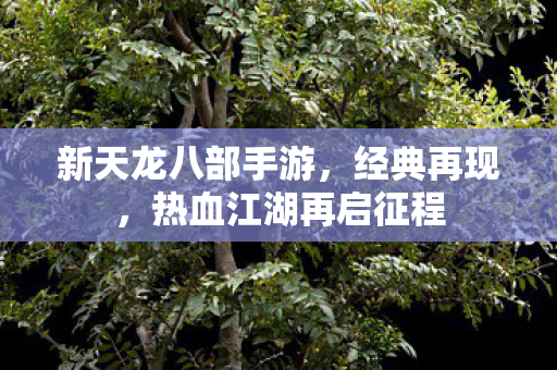新天龙八部手游,经典再现,热血江湖再启征程 新天龙八部手游,经典再现,热血江湖再启征程