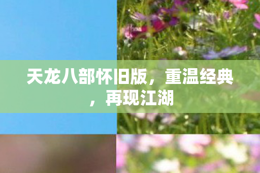 天龙八部怀旧版，重温经典，再现江湖