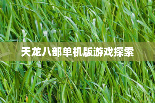 天龙八部单机版游戏探索 天龙八部单机版游戏探索