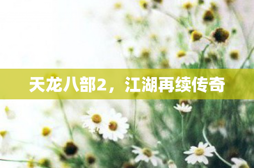 天龙八部2，江湖再续传奇