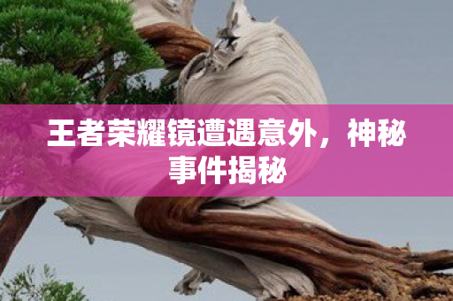 王者荣耀镜遭遇意外，神秘事件揭秘