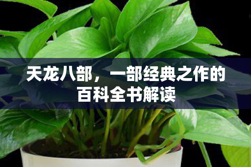 天龙八部,一部经典之作的百科全书解读 天龙八部,一部经典之作的百科全书解读