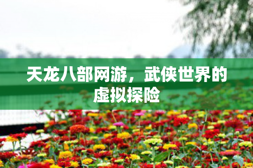 天龙八部网游,武侠世界的虚拟探险 天龙八部网游,武侠世界的虚拟探险