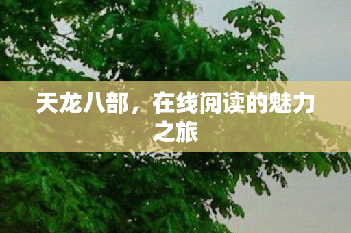 天龙八部，在线阅读的魅力之旅