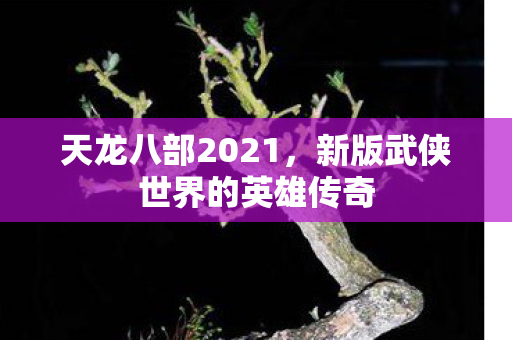 天龙八部2021,新版武侠世界的英雄传奇 天龙八部2021,新版武侠世界的英雄传奇