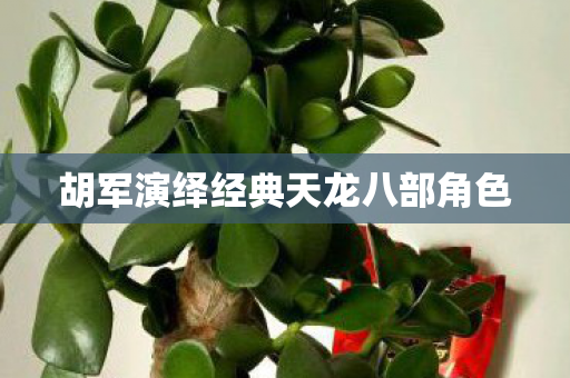 胡军演绎经典天龙八部角色