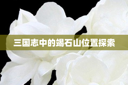三国志中的竭石山位置探索 三国志中的竭石山位置探索