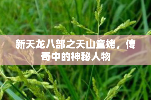新天龙八部之天山童姥，传奇中的神秘人物
