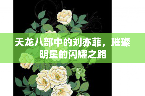 天龙八部中的刘亦菲,璀璨明星的闪耀之路 天龙八部中的刘亦菲,璀璨明星的闪耀之路
