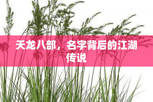 天龙八部,名字背后的江湖传说 天龙八部,名字背后的江湖传说