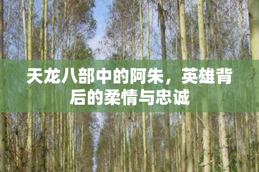 天龙八部中的阿朱，英雄背后的柔情与忠诚