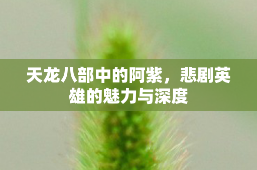 天龙八部中的阿紫,悲剧英雄的魅力与深度 天龙八部中的阿紫,悲剧英雄的魅力与深度