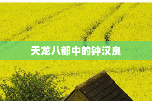 天龙八部中的钟汉良 天龙八部中的钟汉良