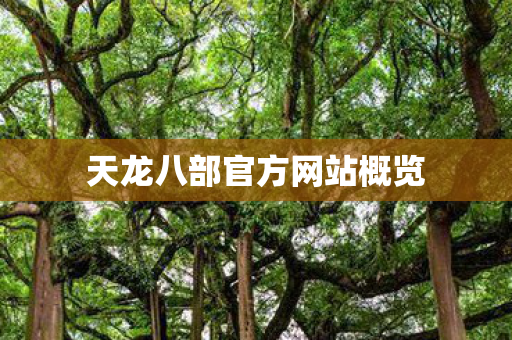 天龙八部官方网站概览 天龙八部官方网站概览