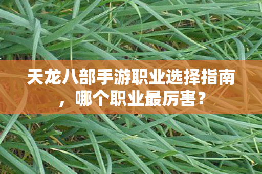 天龙八部手游职业选择指南,哪个职业最厉害? 天龙八部手游职业选择指南,哪个职业最厉害?