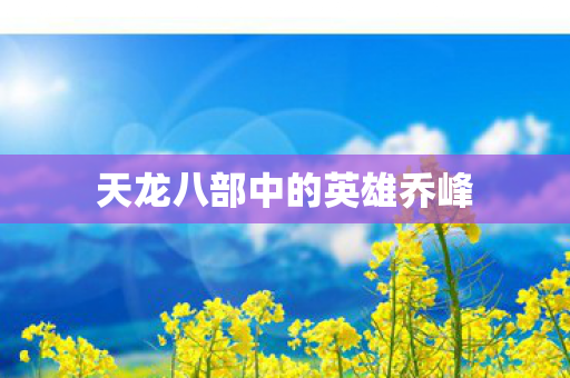 天龙八部中的英雄乔峰