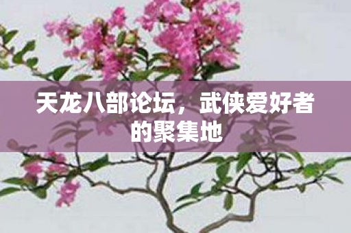 天龙八部论坛,武侠爱好者的聚集地 天龙八部论坛,武侠爱好者的聚集地