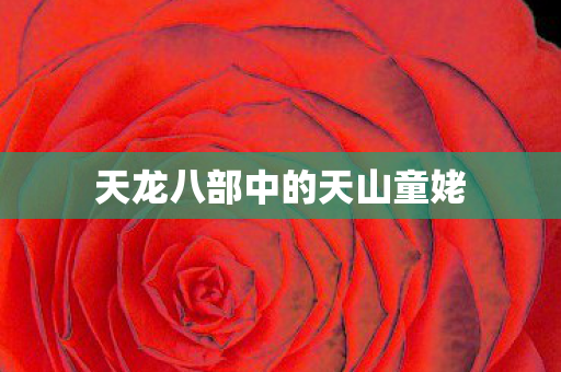 天龙八部中的天山童姥 天龙八部中的天山童姥