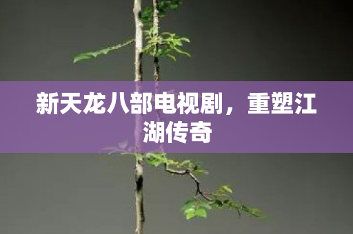 新天龙八部电视剧,重塑江湖传奇 新天龙八部电视剧,重塑江湖传奇