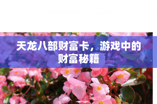 天龙八部财富卡,游戏中的财富秘籍 天龙八部财富卡,游戏中的财富秘籍