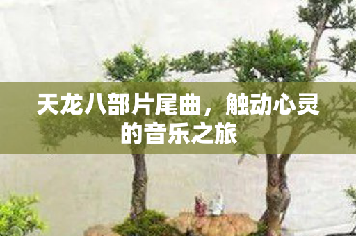 天龙八部片尾曲,触动心灵的音乐之旅 天龙八部片尾曲,触动心灵的音乐之旅