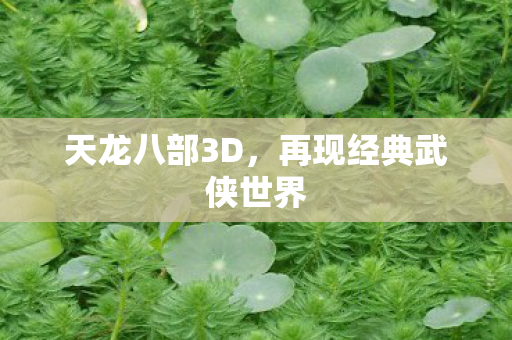 天龙八部3D，再现经典武侠世界
