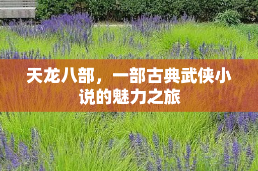 天龙八部,一部古典武侠小说的魅力之旅 天龙八部,一部古典武侠小说的魅力之旅
