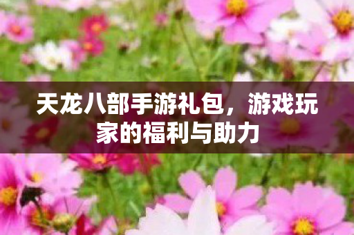 天龙八部手游礼包,游戏玩家的福利与助力 天龙八部手游礼包,游戏玩家的福利与助力