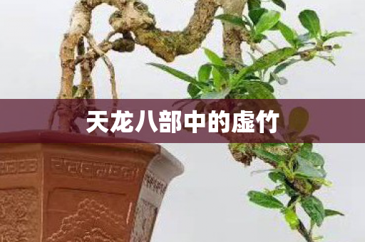 天龙八部中的虚竹 天龙八部中的虚竹